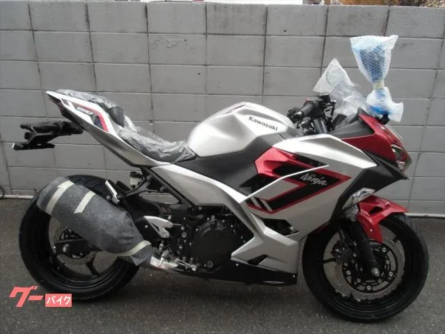 Kawasaki Ninja 250 2025 — фото 1, купить с доставкой в Москву