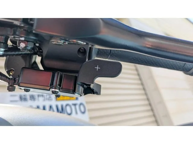 QJMOTOR SRV 250A 2026 V 2026 — миниатюра 5