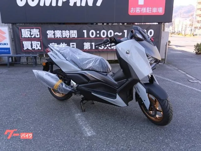 Yamaha X-MAX250 ABS 2025 — фото 1, купить с доставкой в Москву