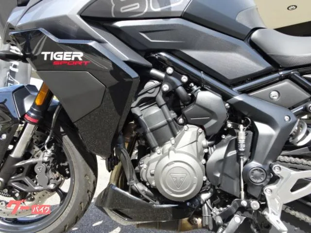 TRIUMPH 800 2025 — миниатюра 2