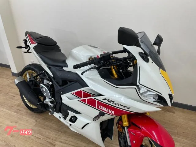 Yamaha YZF-R25 60th Anniversary 2022 — миниатюра 3