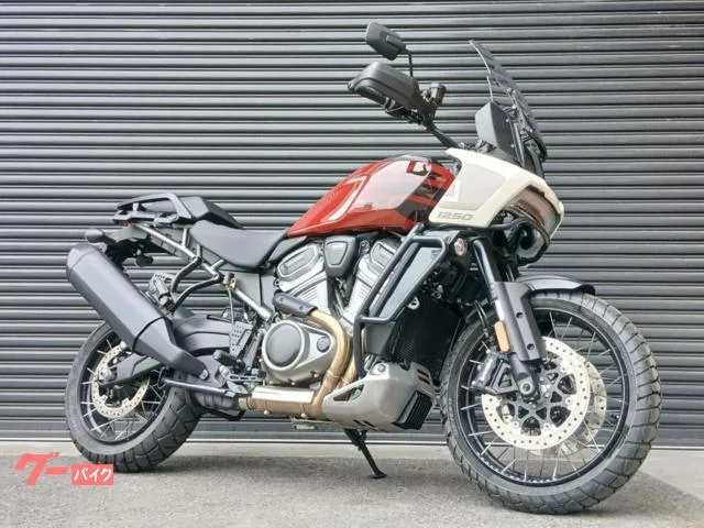 HARLEY-DAVIDSON 1250 LED 2024 — фото 1, купить с доставкой в Москву