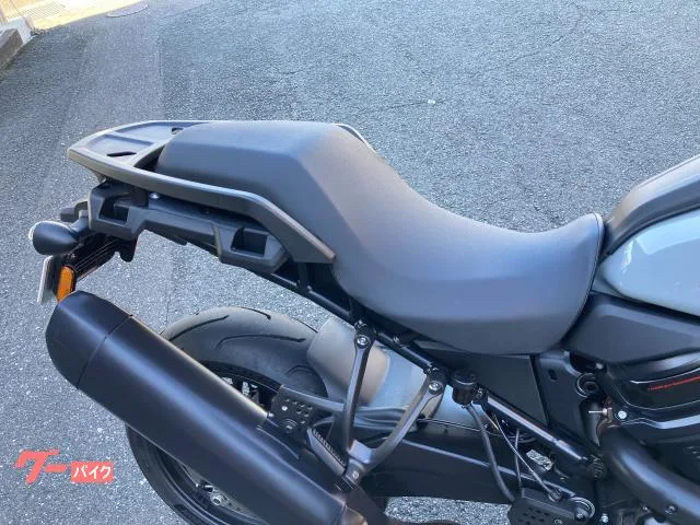 HARLEY-DAVIDSON 1250ST 2025 — миниатюра 3