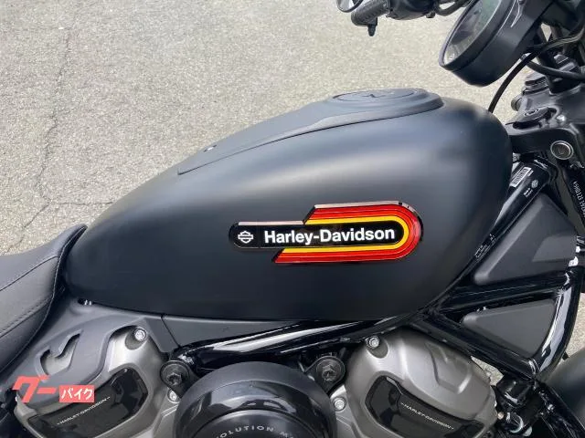 HARLEY-DAVIDSON RH975S 2024 — миниатюра 2