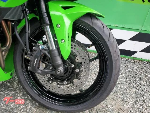 Kawasaki Ninja ZX-4RR/ABS/ // 2026 — миниатюра 4