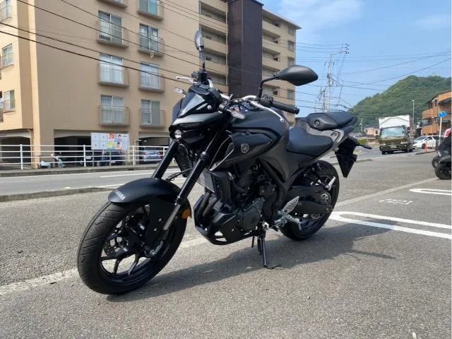 Yamaha MT-25 RG95J Y USB ABS 2026 — миниатюра 2