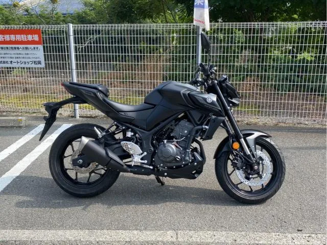 Yamaha MT-25 RG95J Y USB ABS 2026 — фото 1, купить с доставкой в Москву
