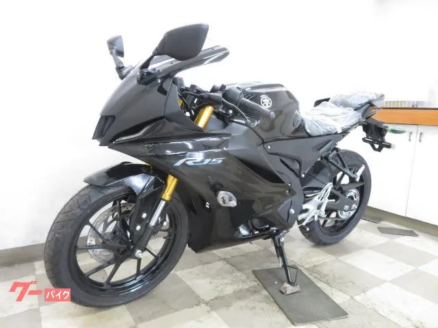Yamaha YZF-R15 2025 — миниатюра 2