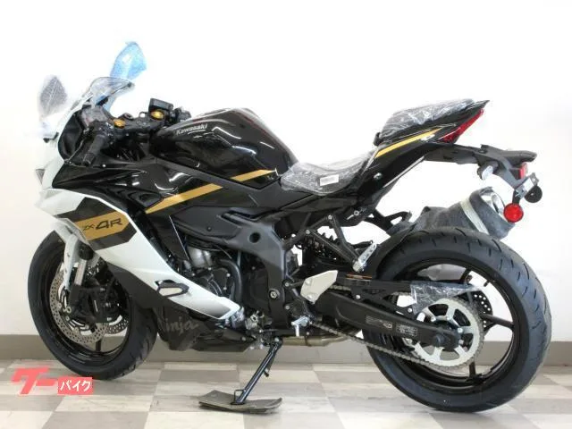 Kawasaki Ninja ZX-4R SE 2026 2026 — миниатюра 2
