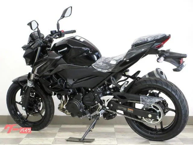 Kawasaki Z250 2026 / 2026 — миниатюра 2