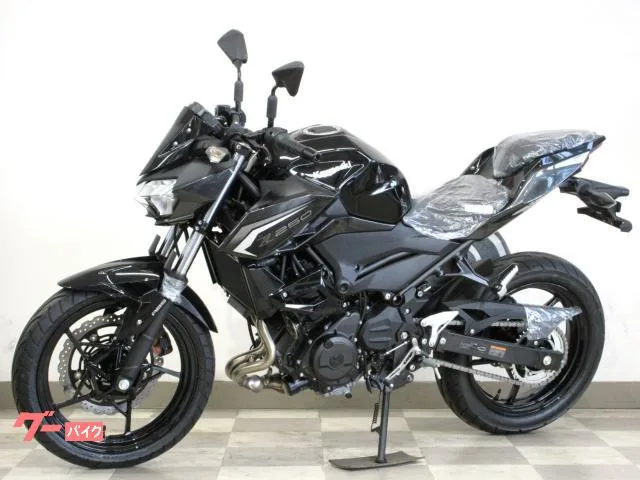 Kawasaki Z250 2026 / 2026 — миниатюра 3