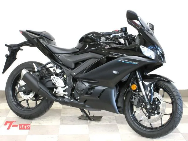 Yamaha YZF-R25 ABS 2023 — миниатюра 3