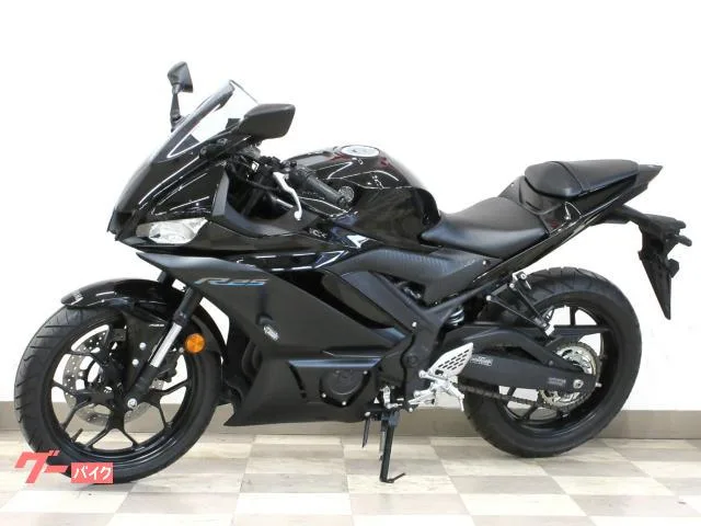 Yamaha YZF-R25 ABS 2023 — миниатюра 5