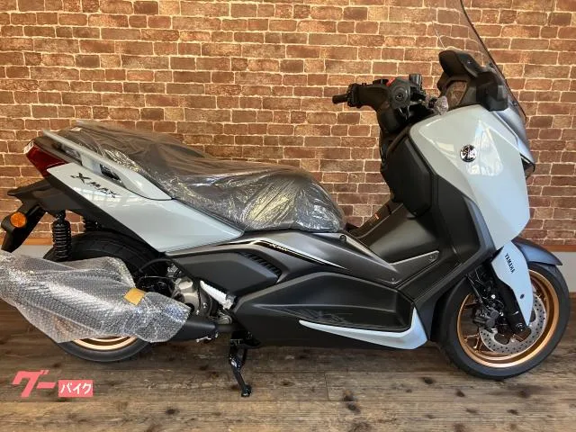 Yamaha X-MAX250 2025 — фото 1, купить с доставкой в Москву