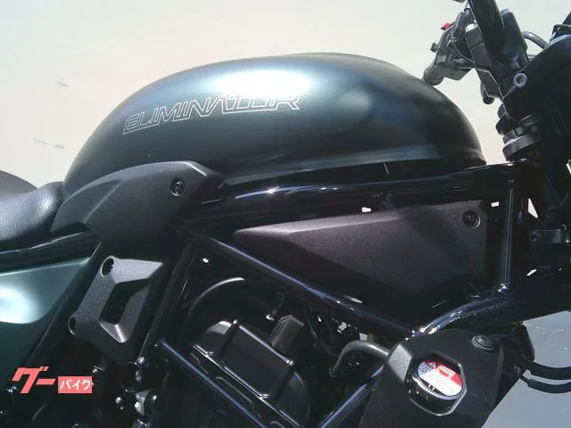 Kawasaki 400SE ETC2.0 2024 — миниатюра 2