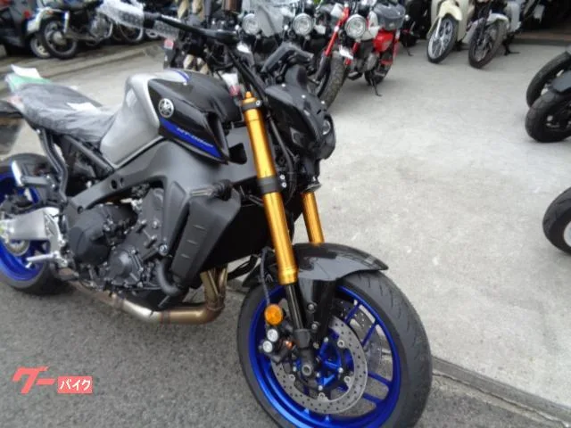 Yamaha MT-09 SP 2022 — миниатюра 2