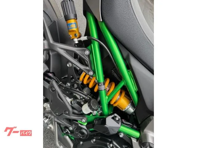 Kawasaki Z900 SE etc2.0 2025 — миниатюра 2