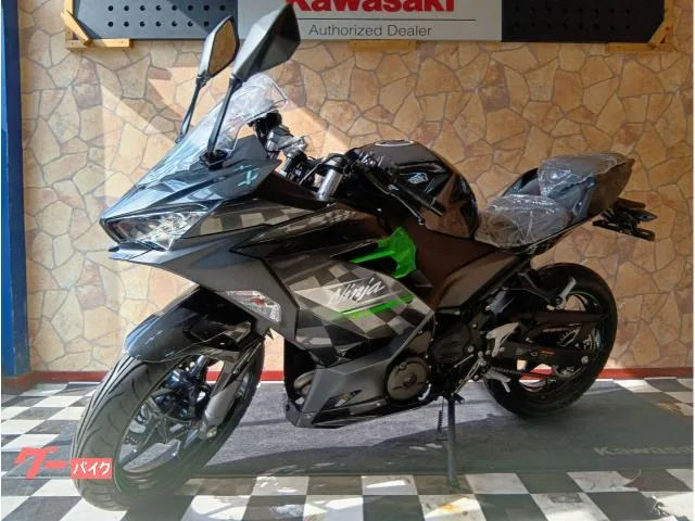 Kawasaki Ninja 250 2 ABS 2024 — миниатюра 3
