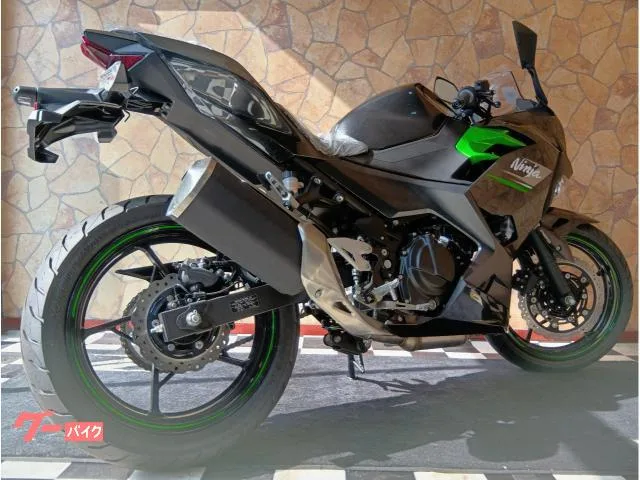 Kawasaki Ninja 250 2 ABS 2024 — миниатюра 5