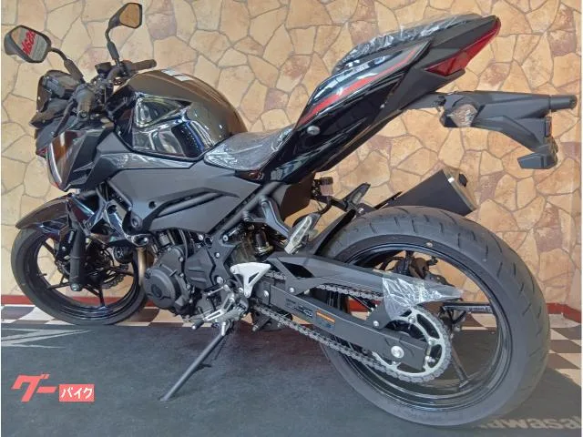 Kawasaki Z400 2 ABS LED 2024 — миниатюра 4