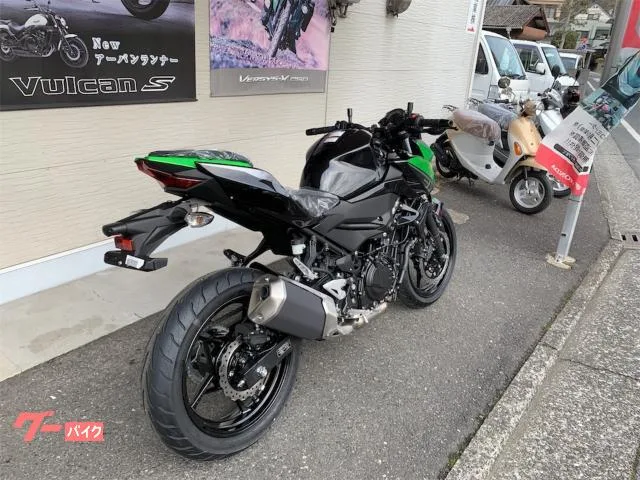 Kawasaki Z250 2023M 2023 — миниатюра 2