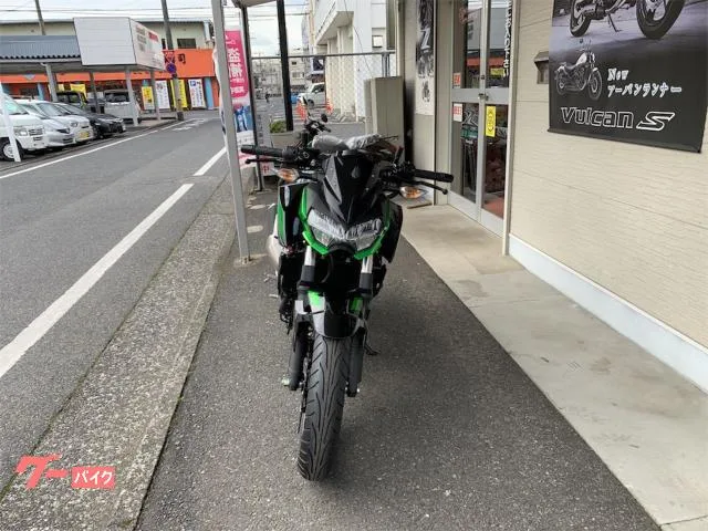 Kawasaki Z250 2023M 2023 — миниатюра 3