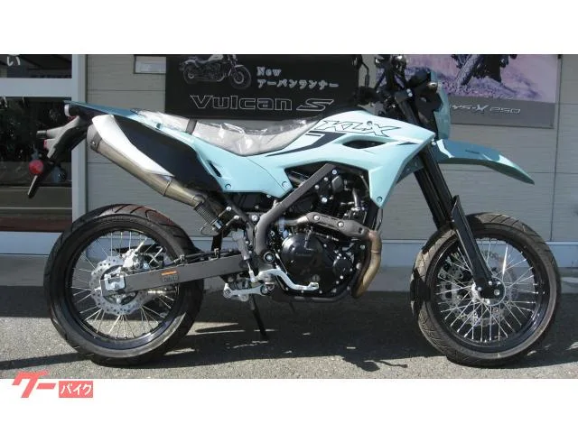 Kawasaki KLX230SM 2025 — фото 1, купить с доставкой в Москву