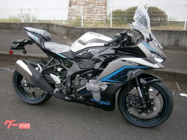 Kawasaki Ninja ZX-25R 2024 2024 — фото 1, купить с доставкой в Москву