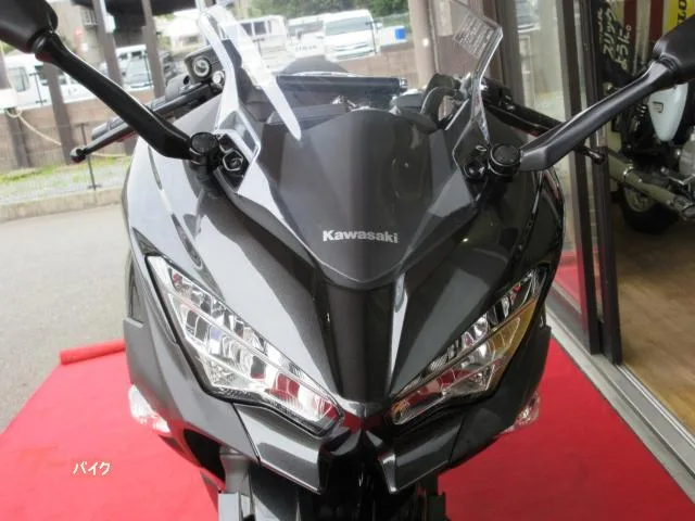Kawasaki Ninja 250 2022 — миниатюра 2