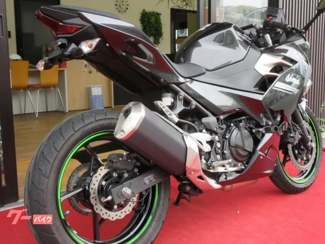 Kawasaki Ninja 250 2022 — миниатюра 3