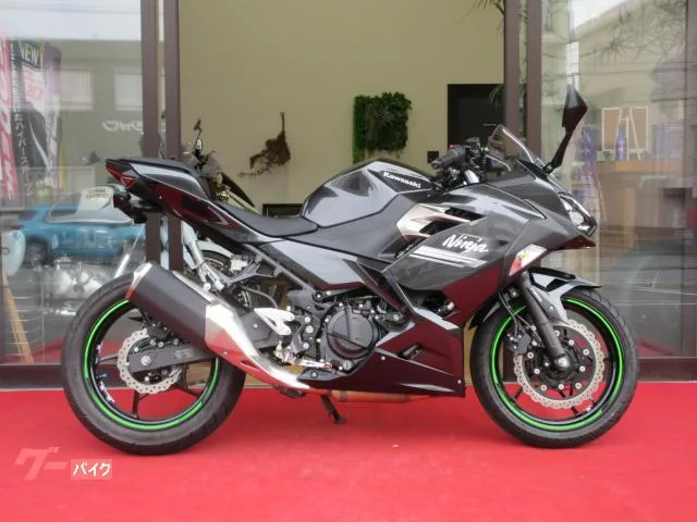Kawasaki Ninja 250 2022 — фото 1, купить с доставкой в Москву