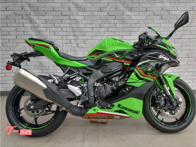 Kawasaki Ninja ZX-4RR 2024 — миниатюра 3