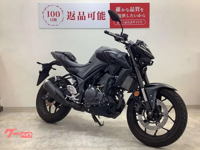 Yamaha MT-25 2025 — миниатюра 4