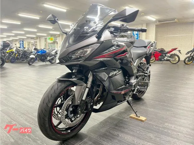 Kawasaki Ninja 1000 SX 2022 — миниатюра 2