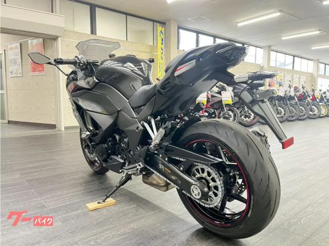 Kawasaki Ninja 1000 SX 2022 — миниатюра 4