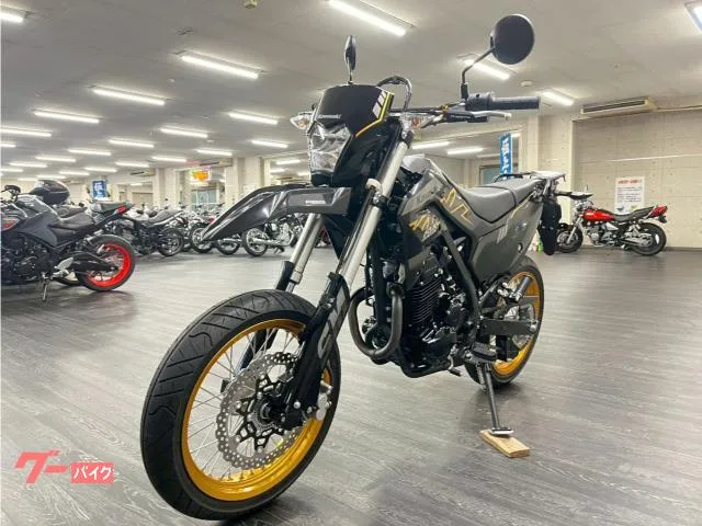 Kawasaki KLX230SM ETC USB 2023 — миниатюра 2