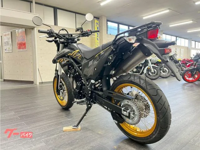 Kawasaki KLX230SM ETC USB 2023 — миниатюра 4