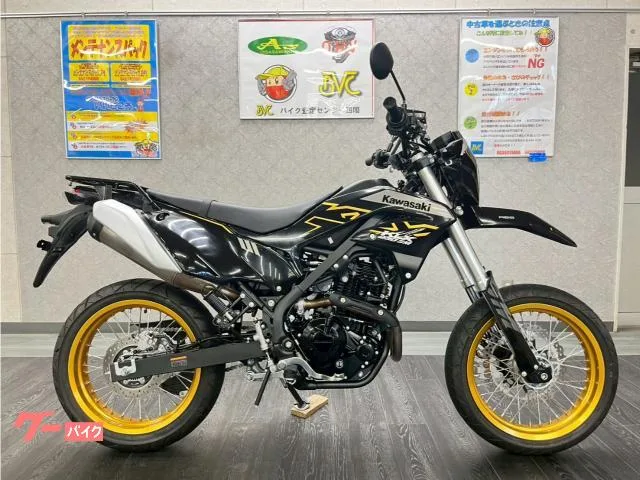 Kawasaki KLX230SM ETC USB 2023 — фото 1, купить с доставкой в Москву