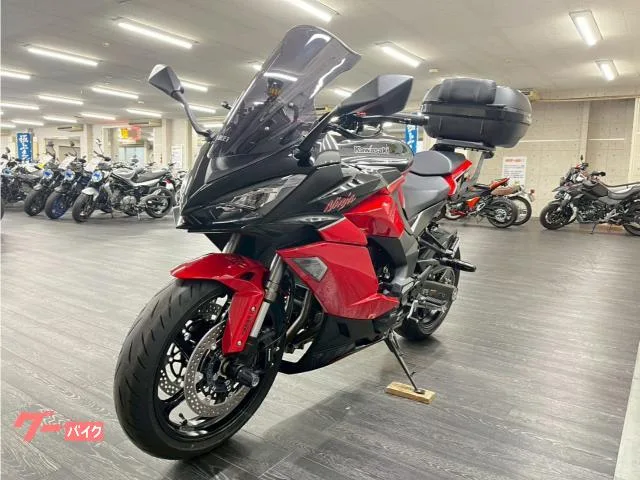 Kawasaki Ninja 1000 SX 40th GP1S BEET 2024 — миниатюра 2