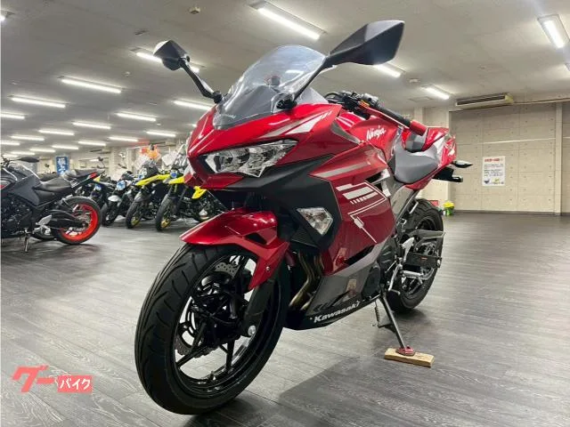 Kawasaki Ninja 250 USB 2022 — миниатюра 2