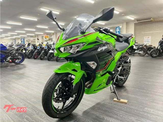 Kawasaki Ninja 250 KRT 2024 — миниатюра 2