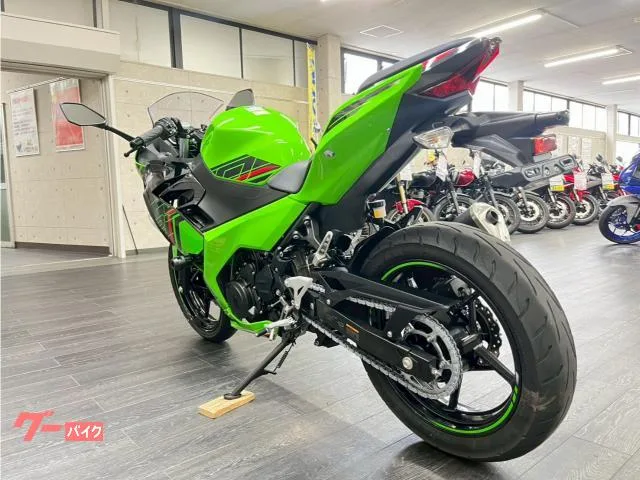 Kawasaki Ninja 250 KRT 2024 — миниатюра 4