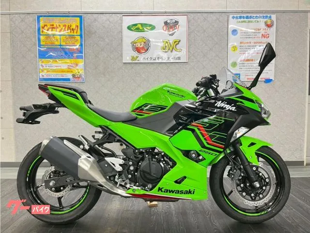 Kawasaki Ninja 250 KRT 2024 — фото 1, купить с доставкой в Москву