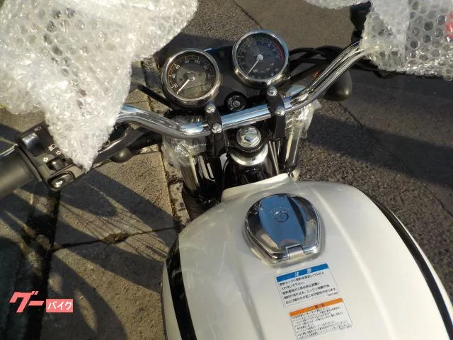 Kawasaki W230 2024 — миниатюра 2