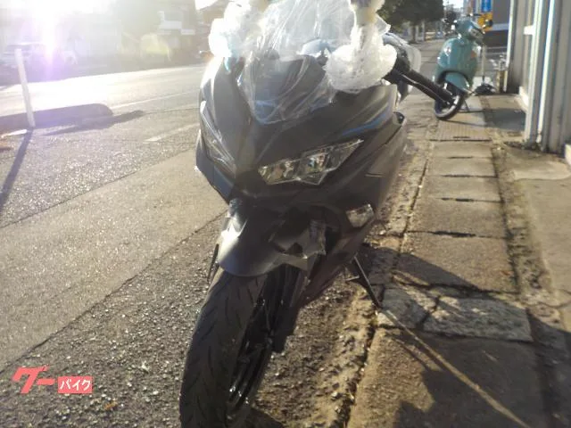 Kawasaki Ninja 400 2025 — миниатюра 3