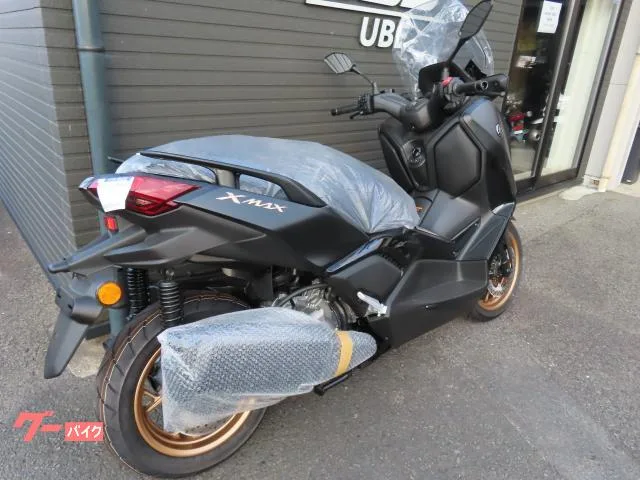 Yamaha X-MAX250 ETC2.0 2023 — миниатюра 3