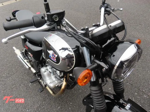 Kawasaki S1 2024 — миниатюра 2