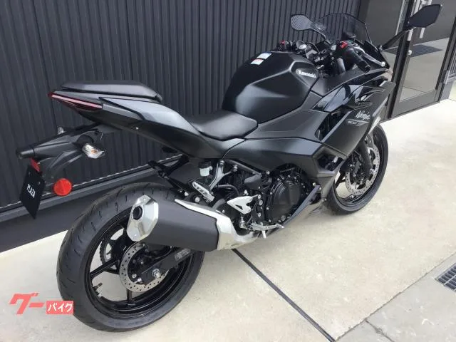 Kawasaki Ninja 500/ 2026 — миниатюра 3