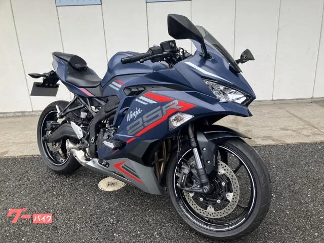 Kawasaki Ninja ZX-25R SE 2022 — фото 1, купить с доставкой в Москву