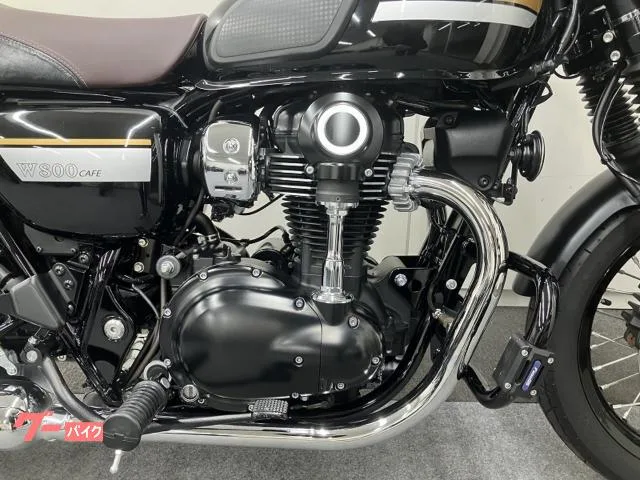 Kawasaki W800 ETC 2022 — миниатюра 2